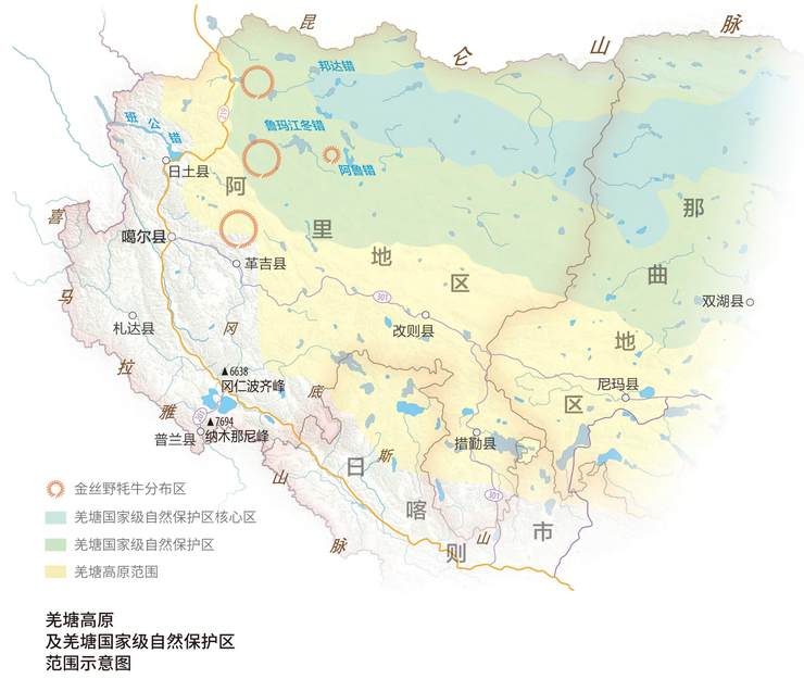 羌塘之巅金丝野牦牛的栖息地正在被蚕食的野生动物家园