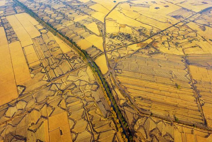 北纬40与45度之间 拉林河流出了中国最好吃的稻米 中国国家地理网