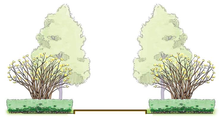 Ⅴ对植:对称种植的树木有迎宾气势.