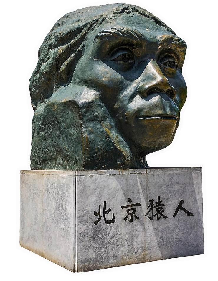 英国学者利用3d重建技术,复原了20～60万年前的海德堡人头骨,并模拟其